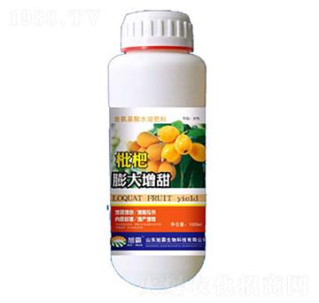 枇杷膨大增甜-旭霸生物