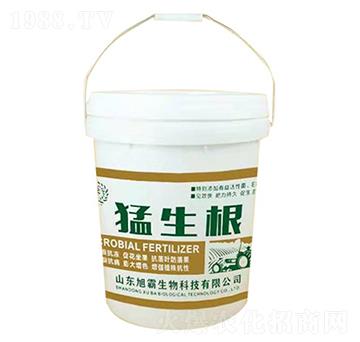 猛生根-旭霸生物