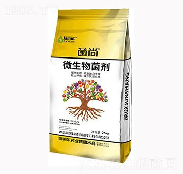 ΢�������-����-������