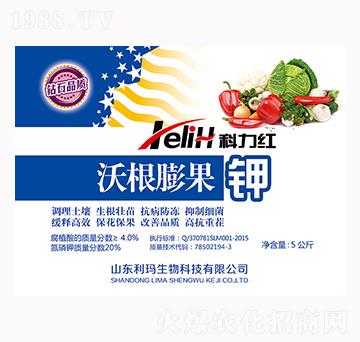 �ָ�����-�����t-��������