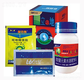 立滿地-柯旺達-沃爾德