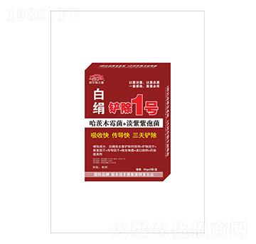 �׽����P��1̖-(li��n)�r(n��ng)���S��