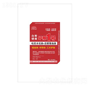 �׷��P���P��1̖-(li��n)�r���S��