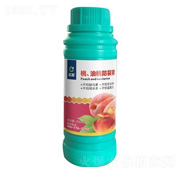 �ҡ����ҷ�����-�R������