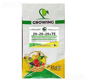 大量元素水溶肥20-20-20+TE-中盛農(nóng)業(yè)