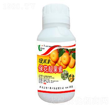 �����n����-�G���S-��������