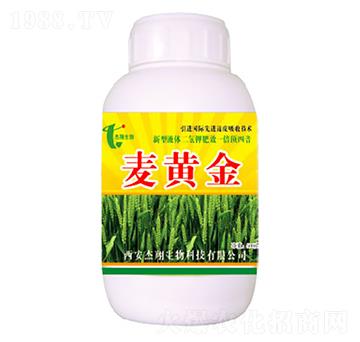 ���S��-��������