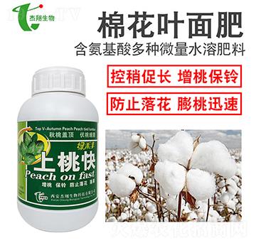 �޻��~���-���ҿ�-��������