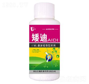 ����-��������