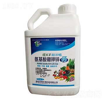 ����s����������\�}-��������