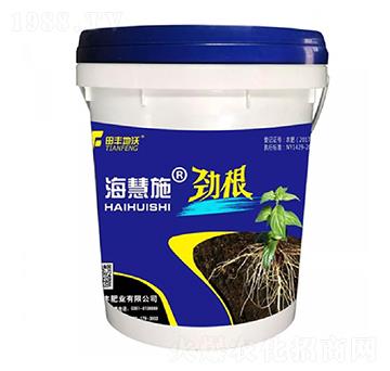 �Ÿ�-����ʩ-���S����