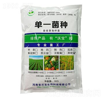 ���Y(ji��)ѿ�ߗU��-�֌�����