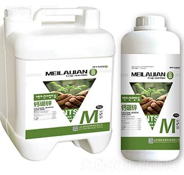 �}���\-��������