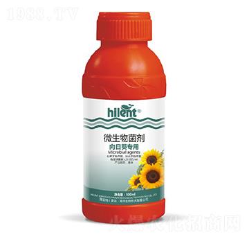 ���տ�����΢�������-���{(l��n)��