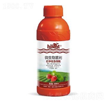 ΢�������-�t��������ƿ-���{(l��n)��