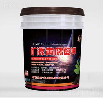 �VԴ�S�����-�S�T���r(n��ng)