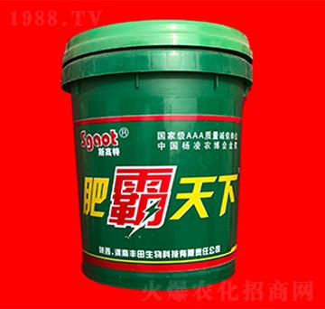 �ʰ�����-˹����-���R�ʘI(y��)