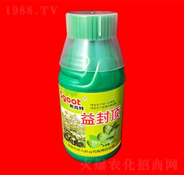 ����-˹����-���R�ʘI(y��)