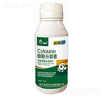 ��(x��)��������-ֲ�^-�����r(n��ng)�I(y��)