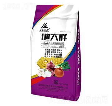 �ش��ֶ�Ч��ø���ܷ�-�A��(chu��ng)(li��n)��