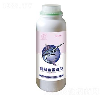1000gø���~������-�A��(chu��ng)(li��n)��