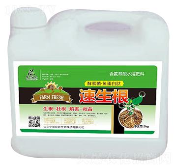 速生根-華創(chuàng)聯(lián)合