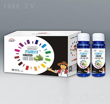 葉菜優(yōu)選氨基酸水溶肥料-萬(wàn)疆紅