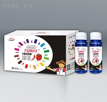 辣椒優(yōu)選氨基酸水溶肥料-萬疆紅