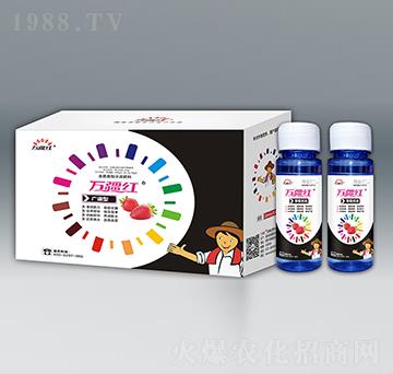 草莓優(yōu)選氨基酸水溶肥料-萬疆紅