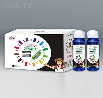 黃瓜優(yōu)選氨基酸水溶肥料-萬疆紅