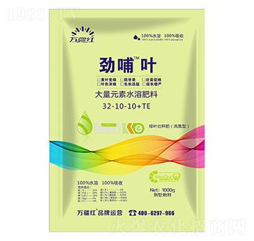 1000g高氮綠葉壯稈型大量元素水溶肥料31-10-10+TE-勁哺葉-萬疆紅