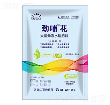 1000g高磷促根花果壯型大量元素水溶肥料10-34-18+TE-勁哺花-萬(wàn)疆紅