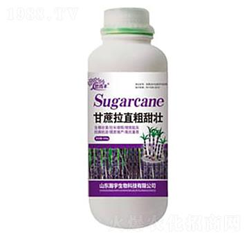 甘蔗拉直粗甜壯-瀚宇生物