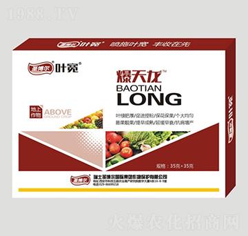 地上作物專用爆地龍-葉寬-圣博爾生物