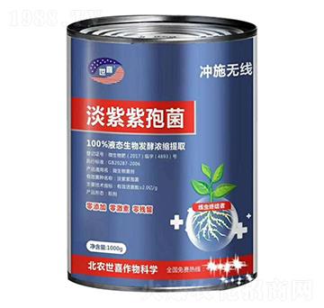 �������߾�-�_ʩ�o��-��ϲ