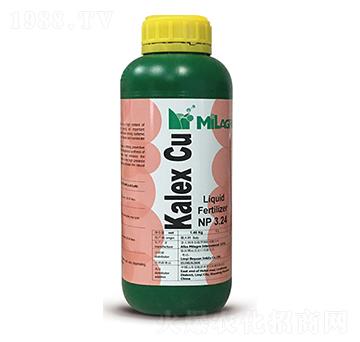 ������(zh��n)��-���h