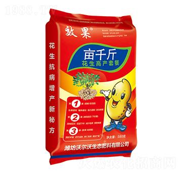 �����߮a�ײ�-��ǧ��-������