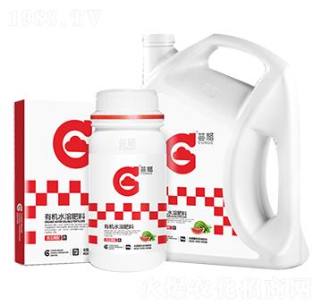 西瓜需配有機水溶肥料-蕓格