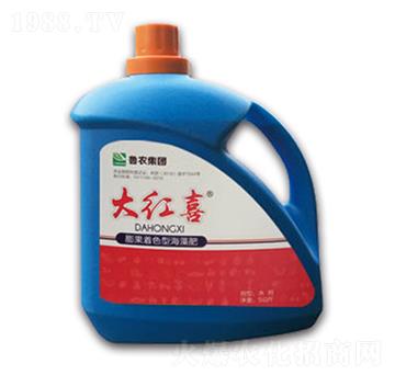 �����ɫ�ͺ����-��tϲ-���r���F