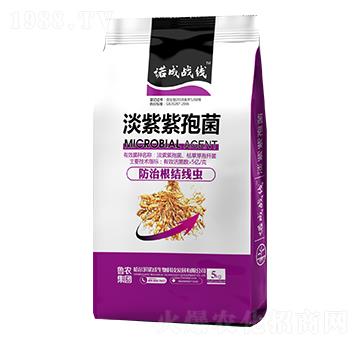 �������߾�-�Z�ɑ�(zh��n)��-���r���F