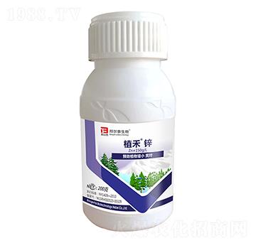 ֲ���\-�̩