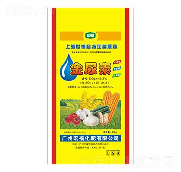 ������-�긣����