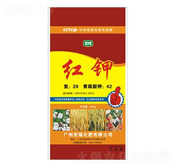 �t�-�������