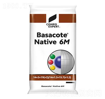 巴薩克14-3-19(6M)-康樸