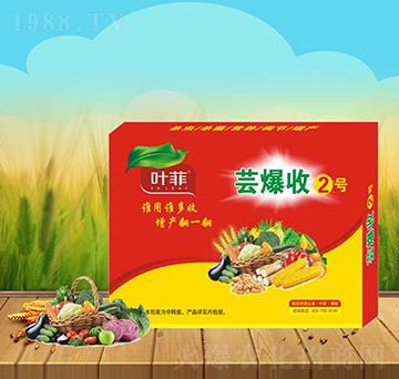 蕓爆收2號-德邦葉菲