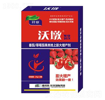 番茄草莓茄果類地上膨大增產(chǎn)劑-沃墩-德邦葉菲