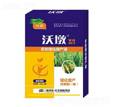 麥稻需配多肽矮化增產(chǎn)液-沃墩-德邦葉菲