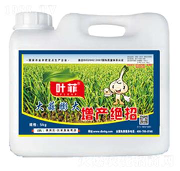大蒜膨大增產(chǎn)絕招-德邦葉菲