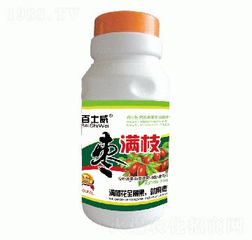 棗滿(mǎn)枝-百士威