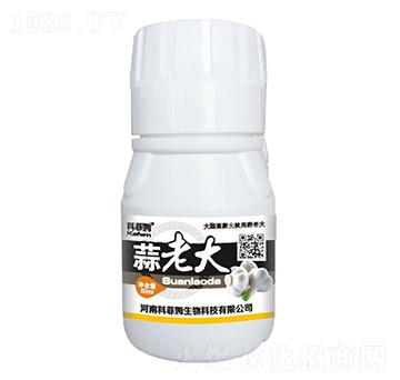 ���ϴ�-�Ʒ�ķ